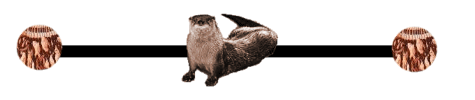 nat11divdr.gif (9699 bytes)