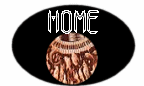 nat11home.gif (5243 bytes)